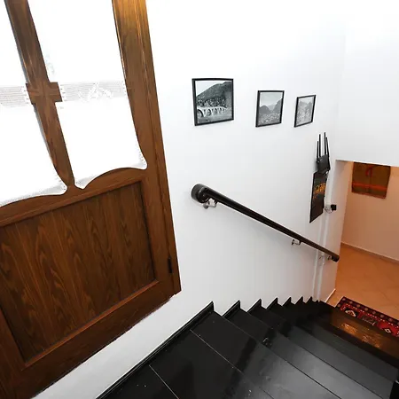 Hotel Elmar 4*