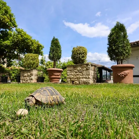 Hotel Elmar Berat